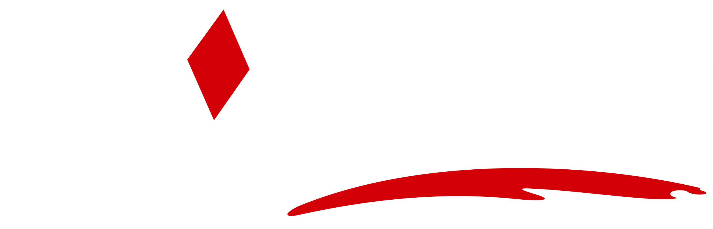 amin Impex logo